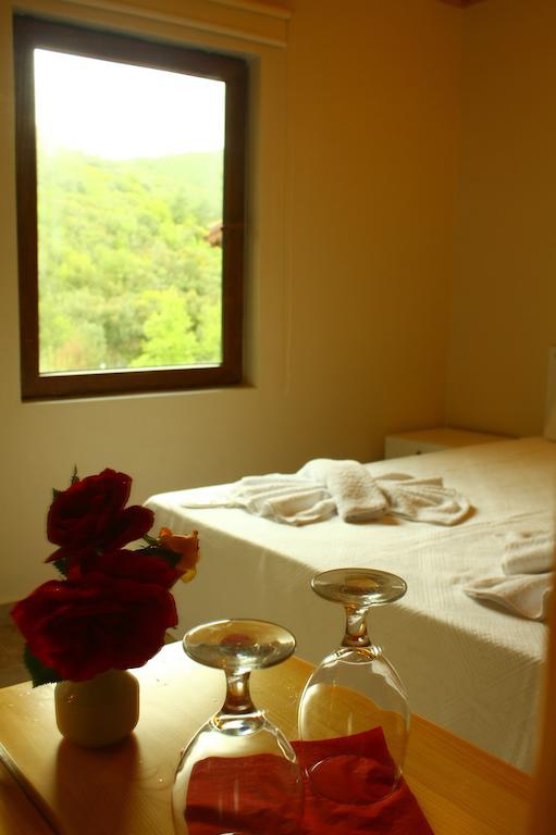 Uyku Vadisi Hotel Agaclihuyuk Cameră foto
